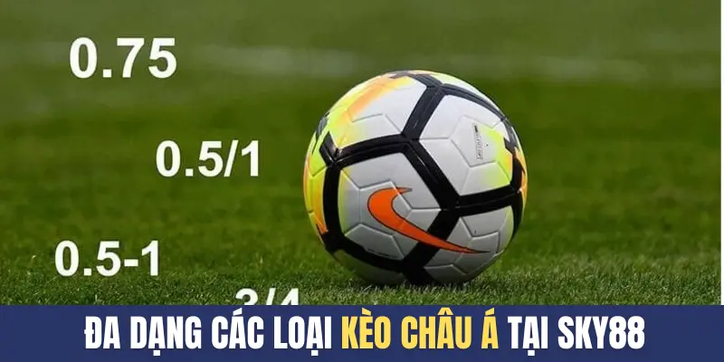 Đa dạng các loại kèo châu Á tại SKY888