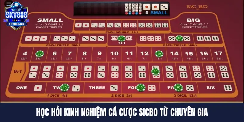 Học hỏi kinh nghiệm cá cược sicbo từ chuyên gia