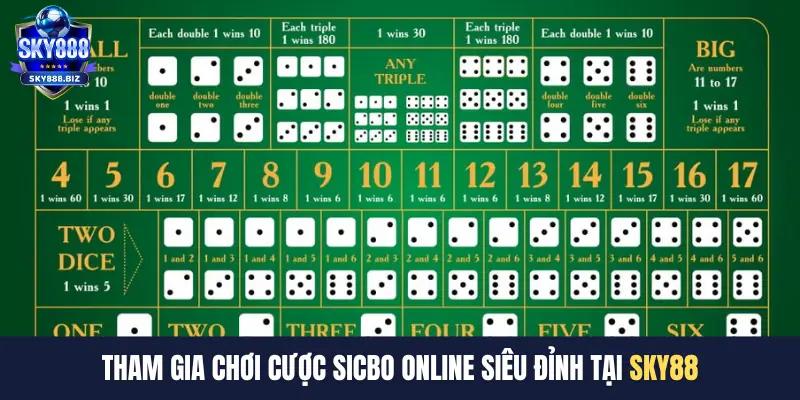 Tham gia chơi cược sicbo online siêu đỉnh tại SKY888