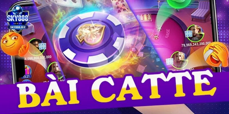 Bài Catte - Tăng cơ hội làm giàu khi cá cược